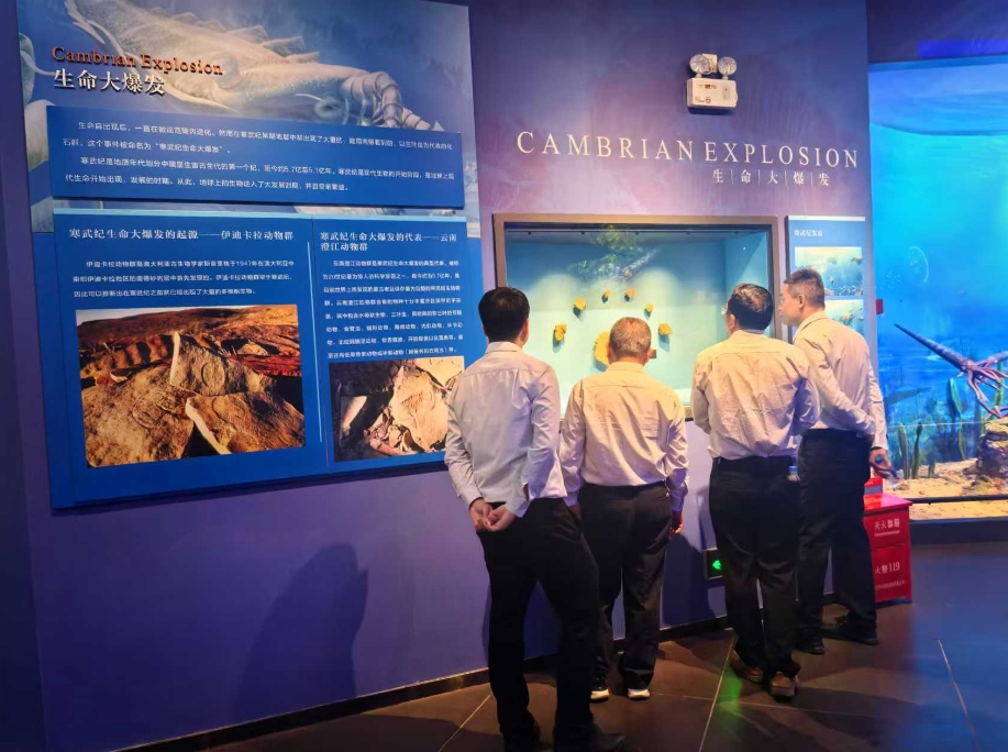 1746500527847383.png 1.png